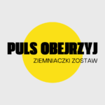 Puls obejrzyj ziemniaczki zostaw (330 ml)