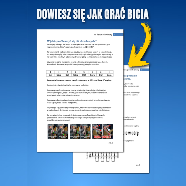 Bicia akordowe (e-book)