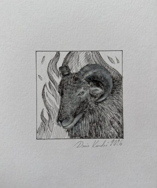 BARAN / znak zodiaku/ Daria Kardaś / oryginalna ilustracja
