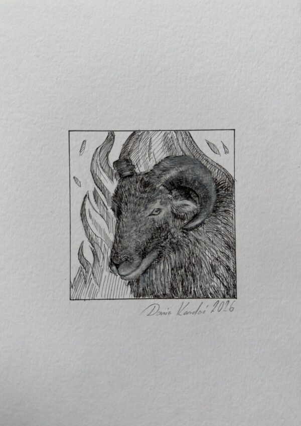 BARAN / znak zodiaku/ Daria Kardaś / oryginalna ilustracja