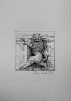 LEW / znak zodiaku / Daria Kardaś / oryginalna ilustracja