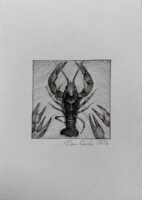 RAK / znak zodiaku / Daria Kardaś / oryginalna ilustracja