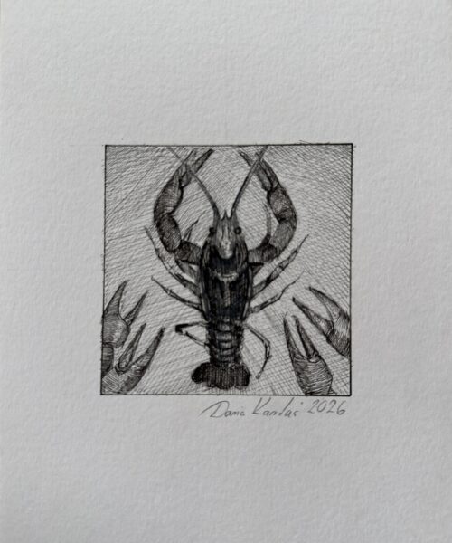 RAK / znak zodiaku / Daria Kardaś / oryginalna ilustracja
