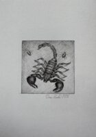 SKORPION / znak zodiaku / Daria Kardaś / oryginalna ilustracja