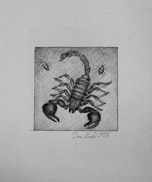 SKORPION / znak zodiaku / Daria Kardaś / oryginalna ilustracja