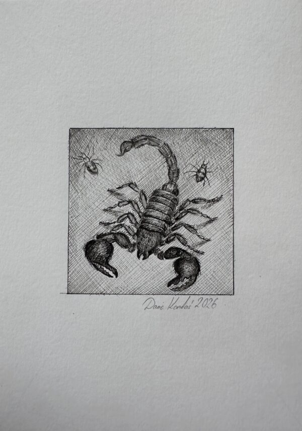 SKORPION / znak zodiaku / Daria Kardaś / oryginalna ilustracja