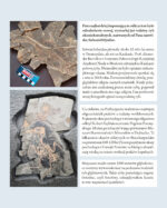 PARYŻEWO / kwartalnik kulturalny / numer III